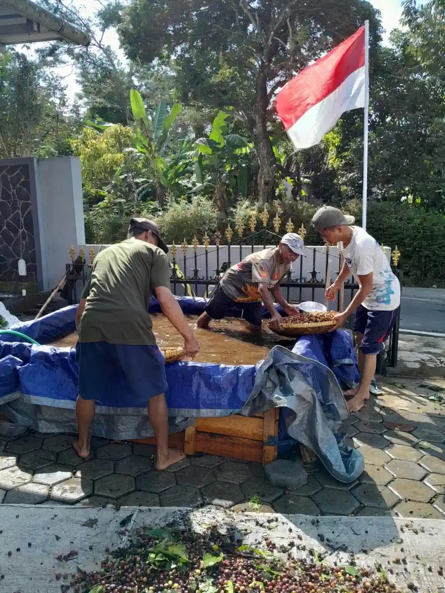 AGA Agriculture post-harvest coffee documentation – photo 6.