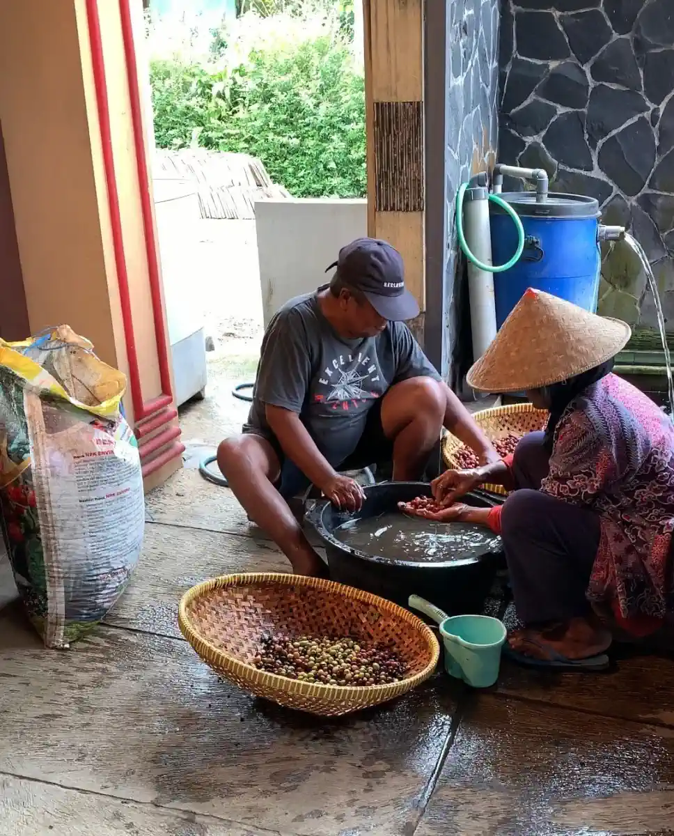 AGA Agriculture post-harvest coffee documentation – photo 7.
