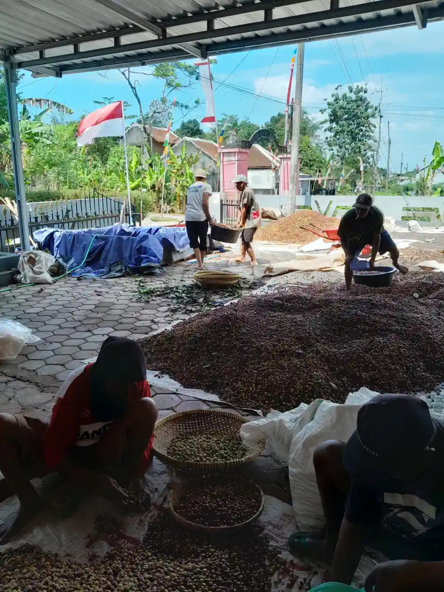 AGA Agriculture post-harvest coffee documentation – photo 9.