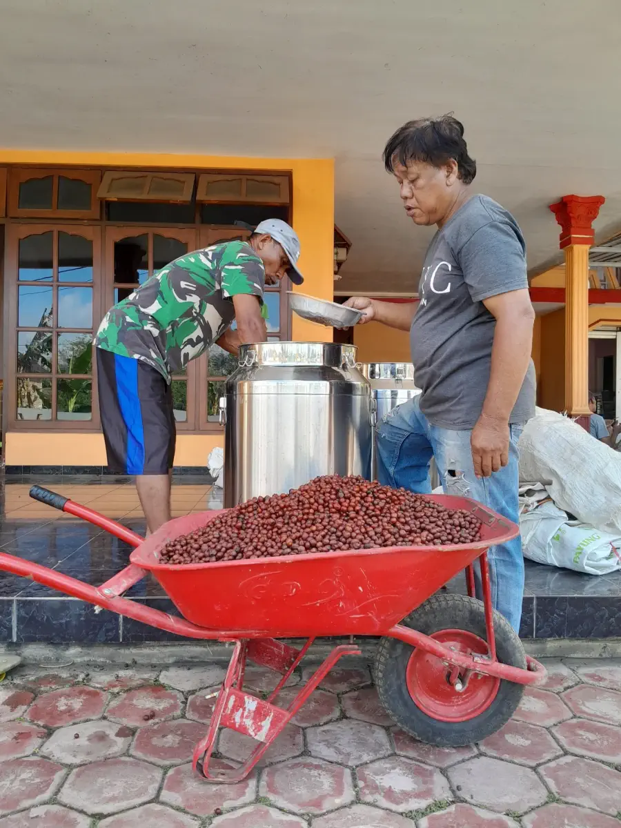 AGA Agriculture post-harvest coffee documentation – photo 10.
