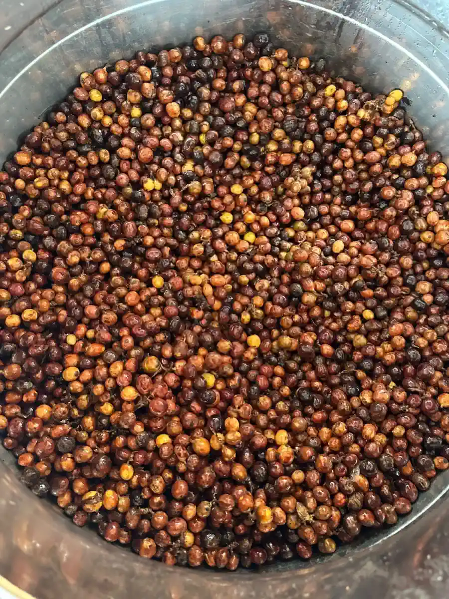 AGA Agriculture post-harvest coffee documentation – photo 13.