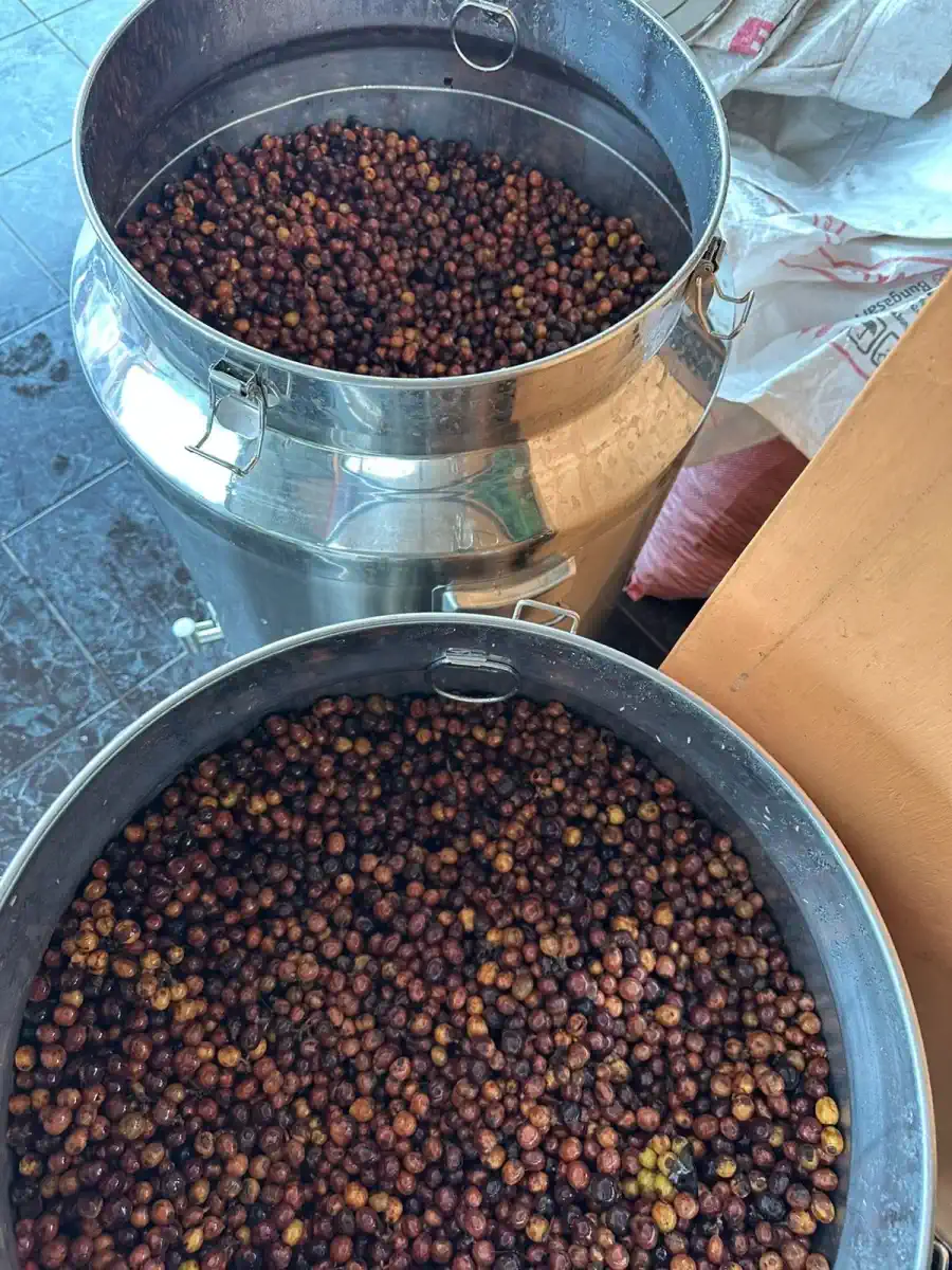 AGA Agriculture post-harvest coffee documentation – photo 14.