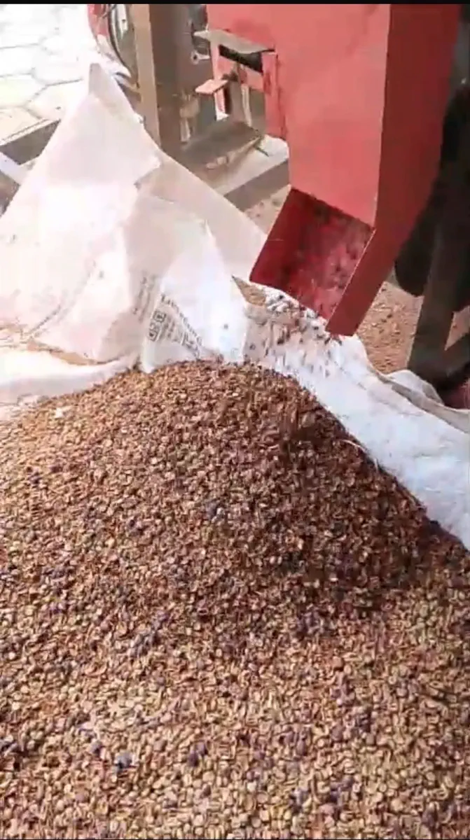 AGA Agriculture post-harvest coffee documentation – photo 20.