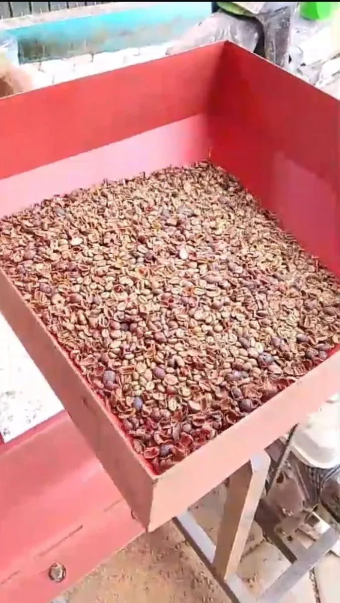 AGA Agriculture post-harvest coffee documentation – photo 21.