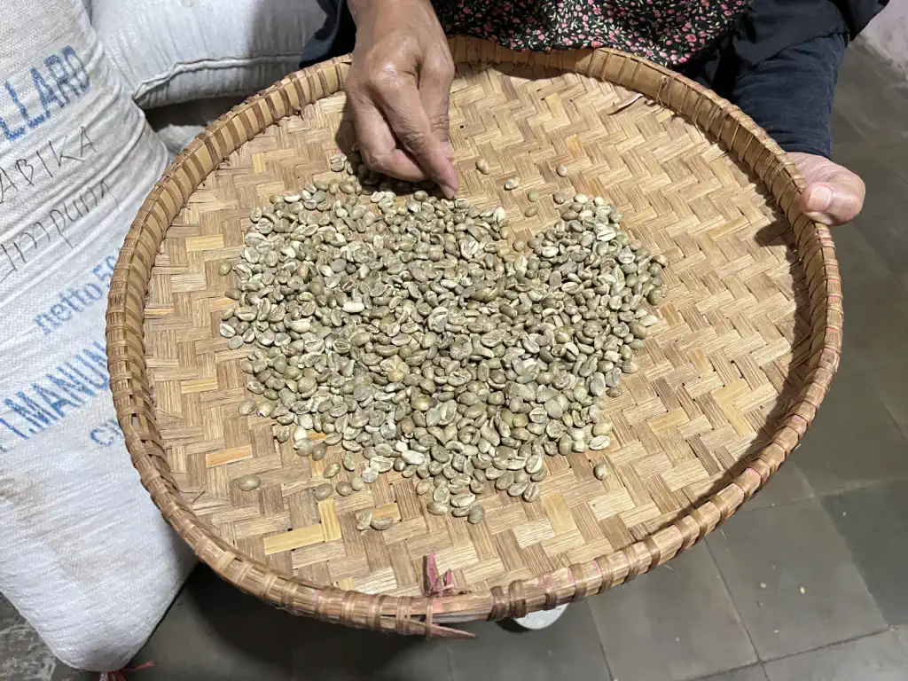 AGA Agriculture post-harvest coffee documentation – photo 25.
