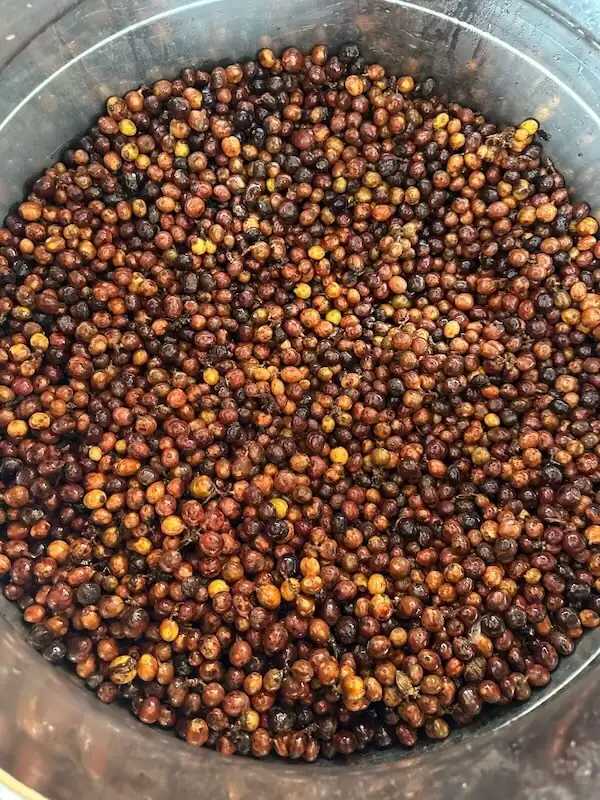 Closed tanks for anaerobic coffee fermentation