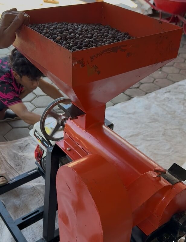 Hulling machine separating parchment from green beans
