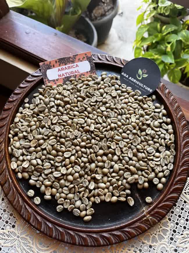 Arabica Natural