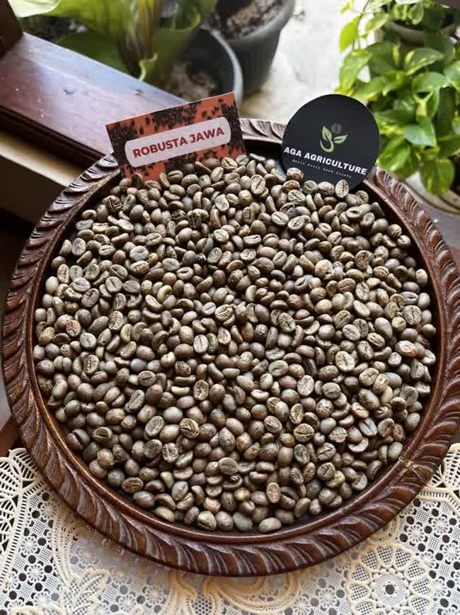 Robusta Jawa