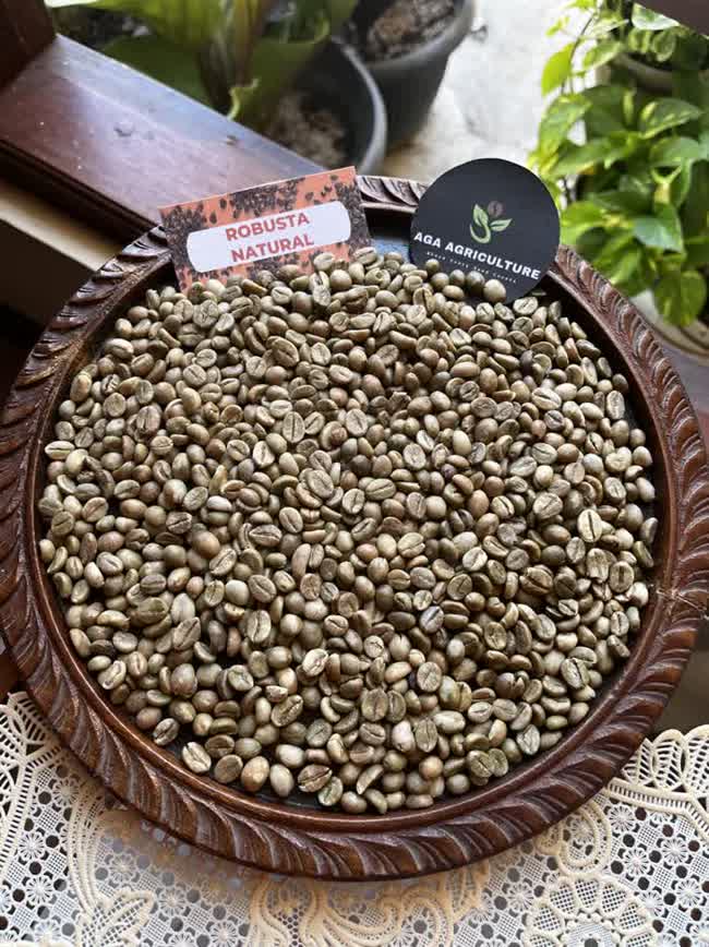 Robusta Natural