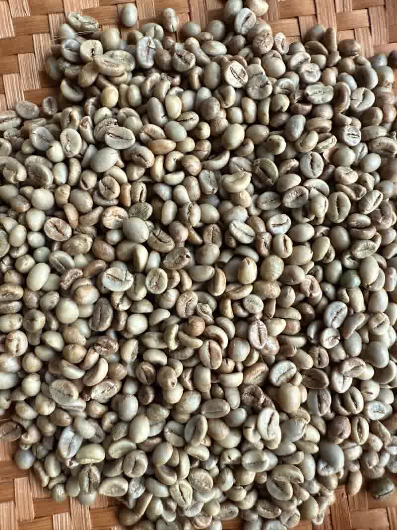 Biji kopi Robusta bernuansa cokelat