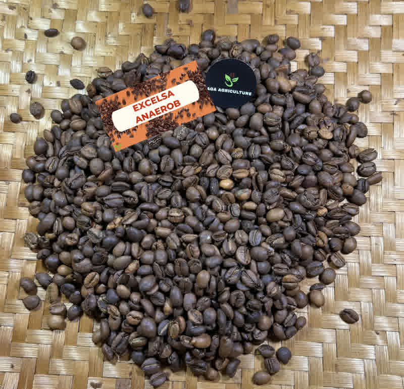 Roasted bean Excelsa Anaerob