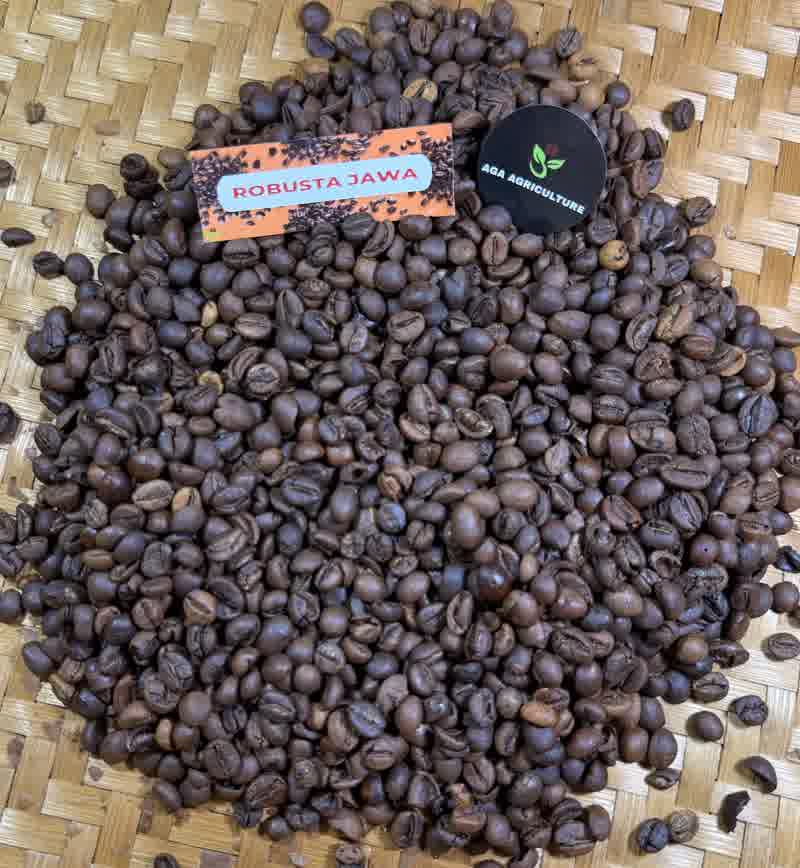 Roasted bean Robusta Jawa