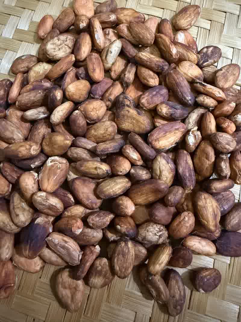 Cacao beans
